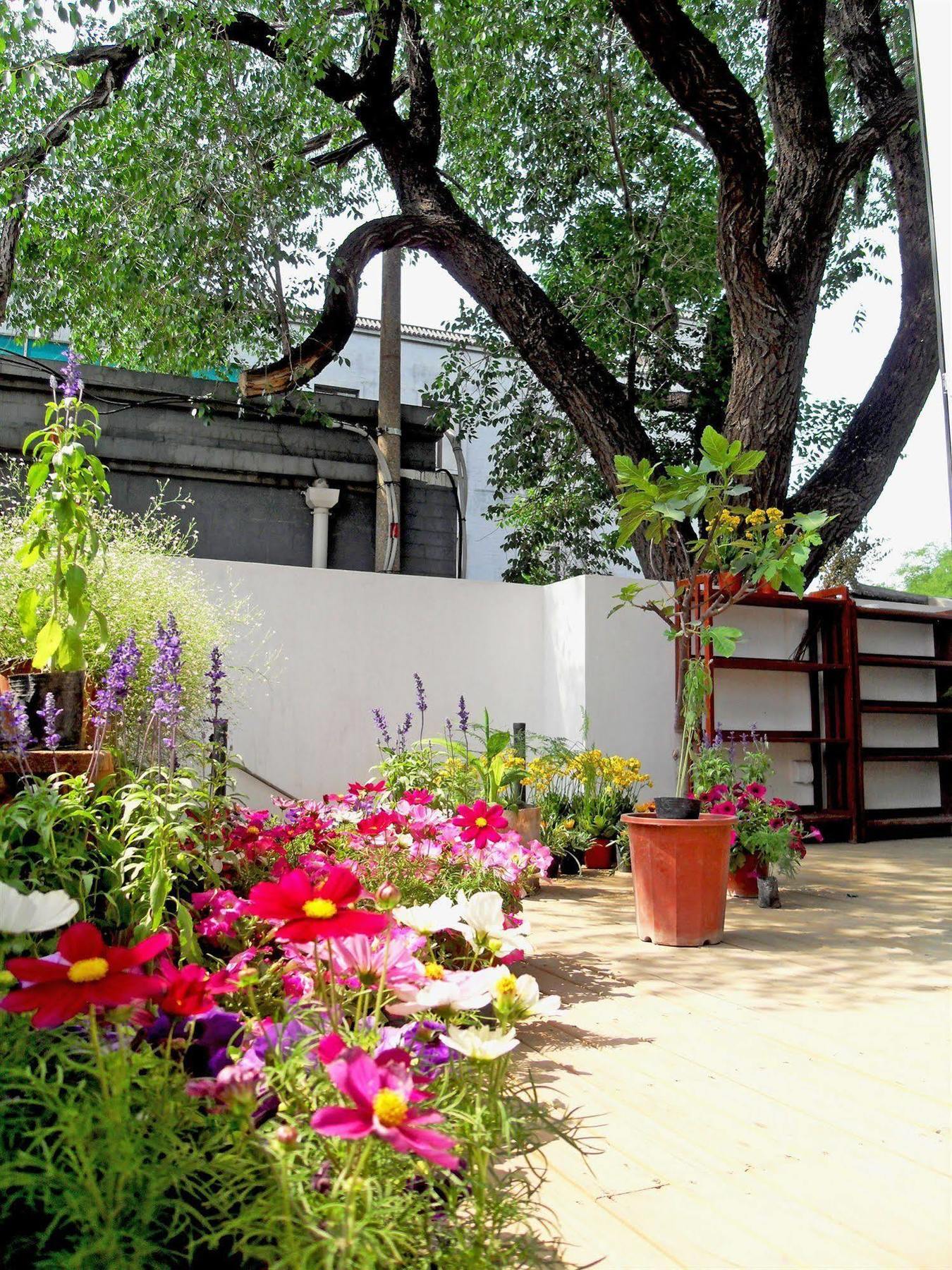 Beijing Wohkoon Hostel-Nan Luo Gu Xiang Branch 외부 사진